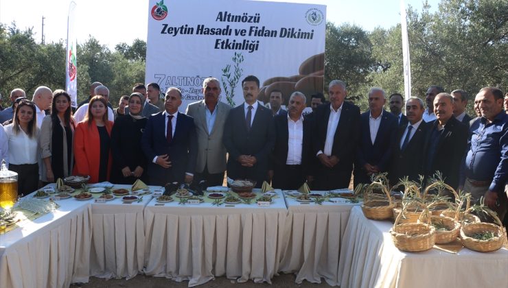 “7. Altınözü Zeytin, Zeytinyağı ve Gastronomi Festivali” düzenlendi