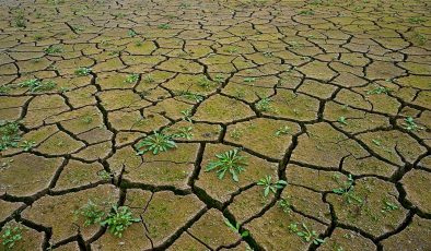 BM Genel Sekreteri Guterre: Dünya iklim krizini kontrol altına almakta başarısız oluyor